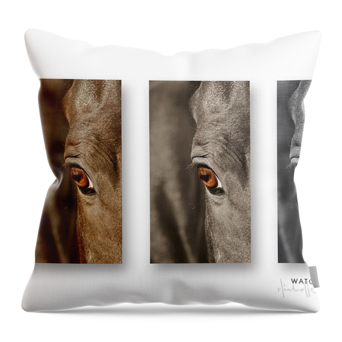 Nature Throw Pillow featuring the photograph Watchful Triptych by Michelle Twohig