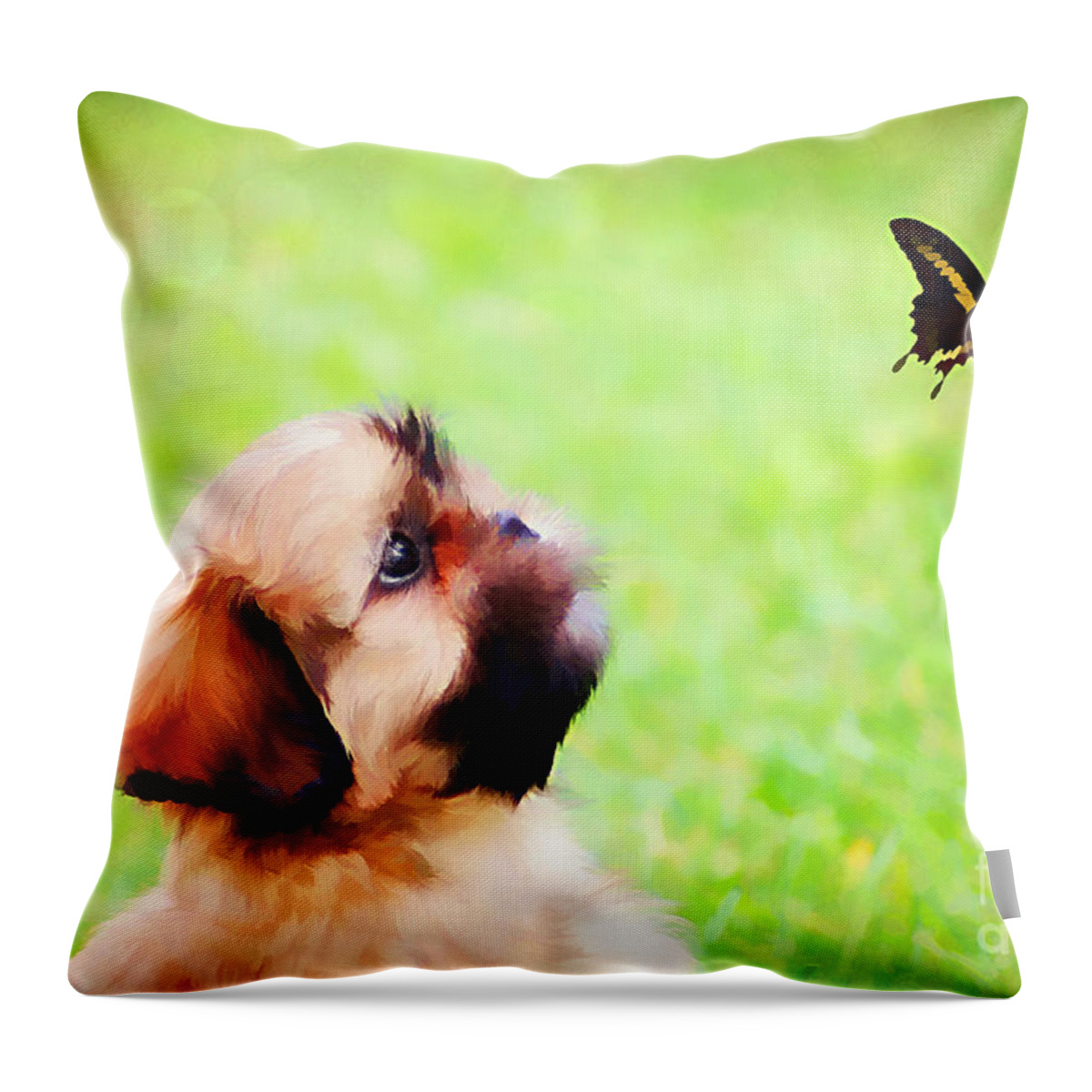 Adorable Throw Pillow featuring the photograph Watching Butterflies by Darren Fisher