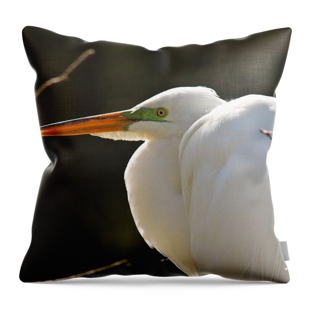 Egret Throw Pillow featuring the photograph Watching by Jessica Brown