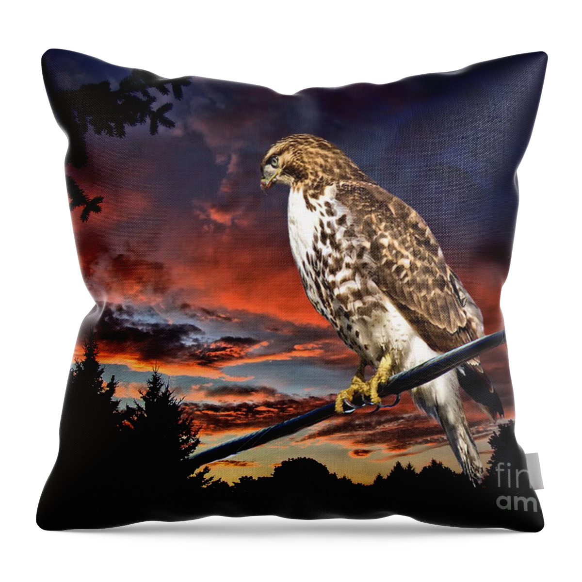 Bird Of Prey Throw Pillow featuring the photograph Watching the Sun Set by Andrea Kollo