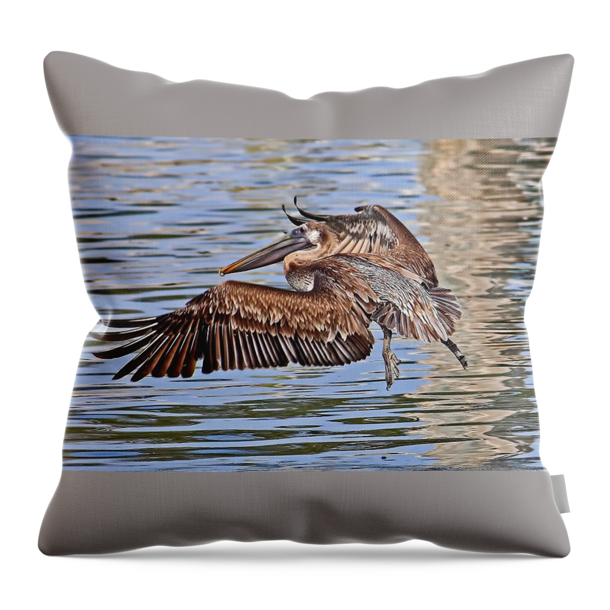 Brown Pelican Throw Pillow featuring the photograph Water Ballet - Brown Pelican by HH Photography of Florida