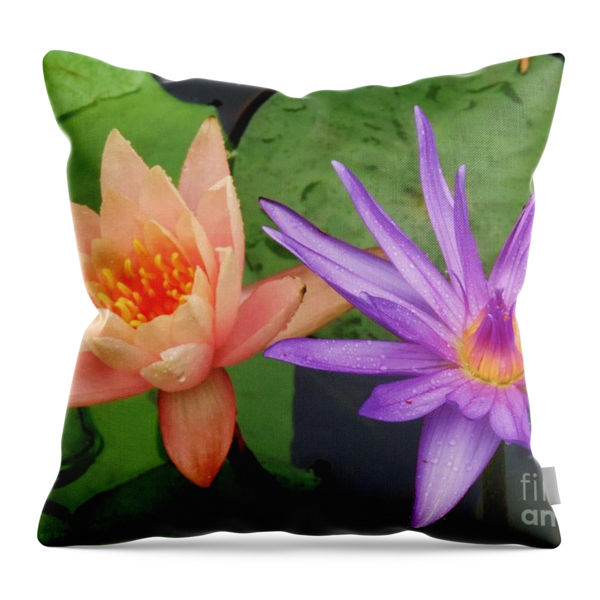 Water Lilies Throw Pillow featuring the photograph Water Lilies 011 by Robert ONeil