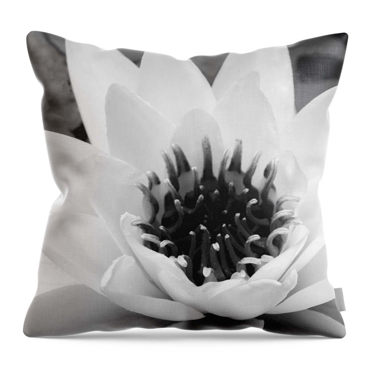 Water Lily Throw Pillow featuring the photograph Water Lily 1 by Michelle Joseph-Long