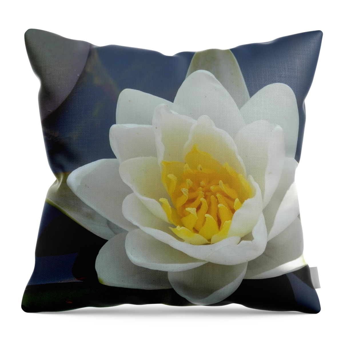 Yellow Throw Pillow featuring the photograph Water Lily 1 by Pema Hou