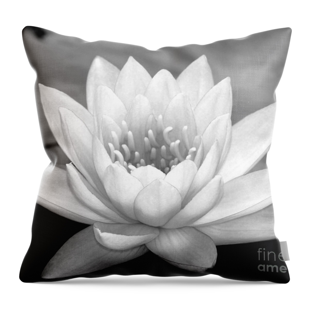 Landscape Throw Pillow featuring the photograph Water Lily in Black and White by Sabrina L Ryan