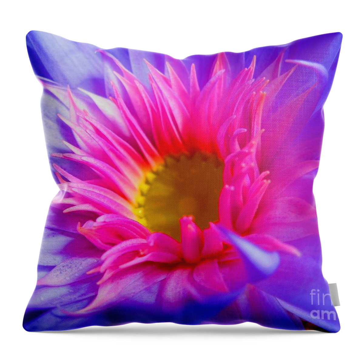 Water Lily Throw Pillow featuring the photograph Water Lily Vibrant by Angela Murray