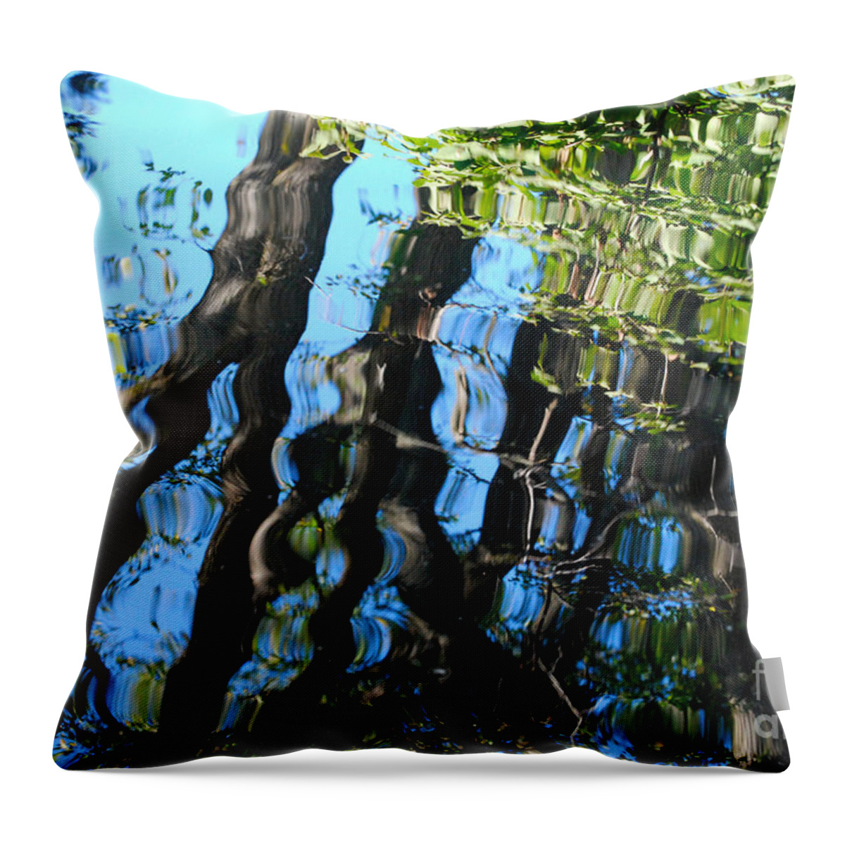 Pond Throw Pillow featuring the photograph Water Reflections 2 by Nancy Mueller