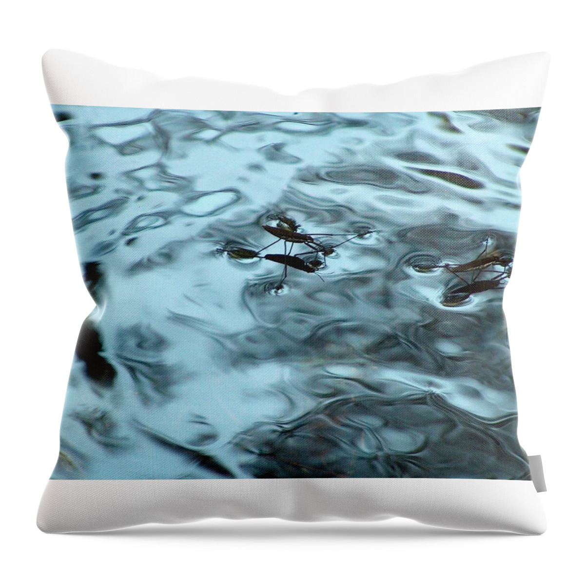 Water Spiders Throw Pillow featuring the photograph Water Spiders by Wayne Enslow
