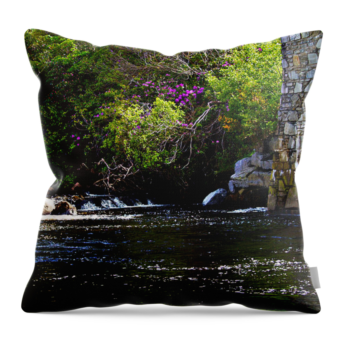 Fine Art Print Throw Pillow featuring the photograph Water Under the Bridge by Patricia Griffin Brett