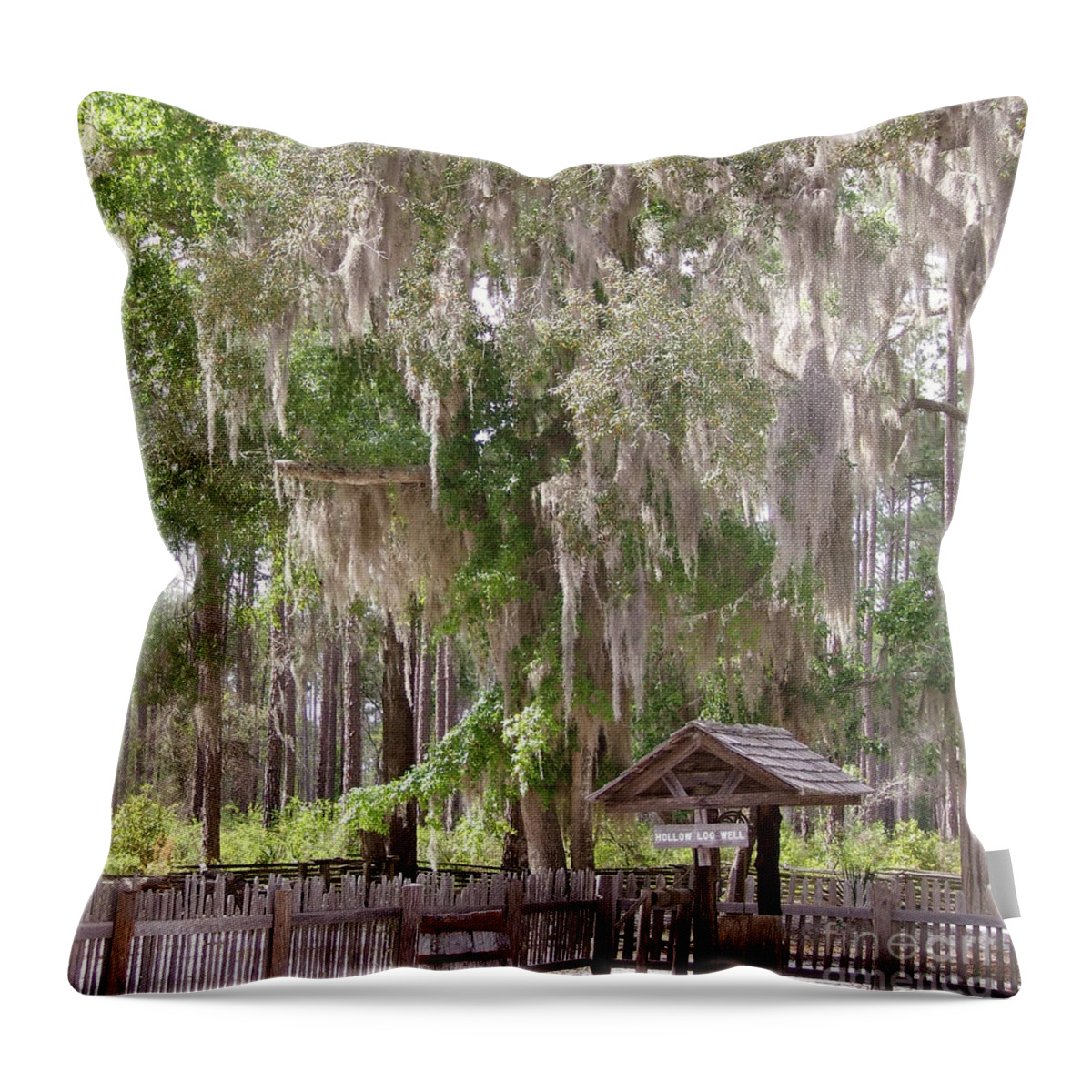 Well Throw Pillow featuring the photograph Water well by Andrea Anderegg