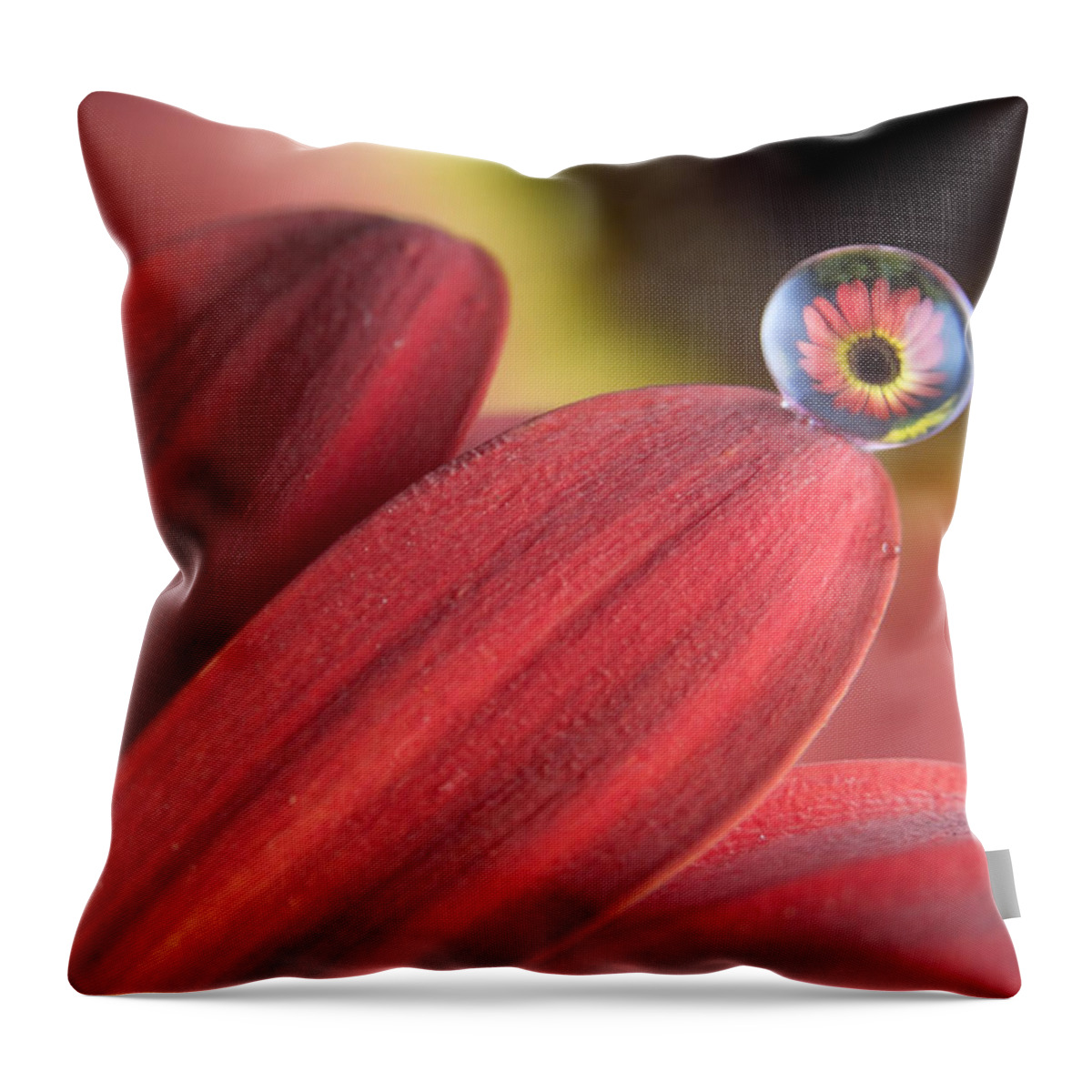 Flowers Throw Pillow featuring the photograph Waterdrop on flower petal by William Lee