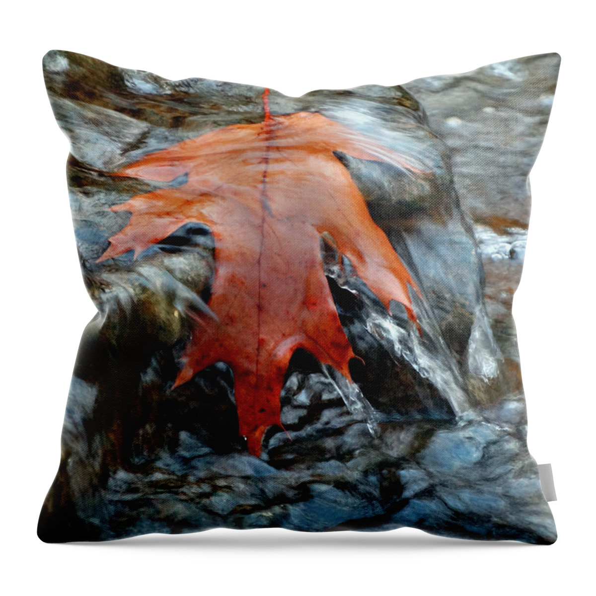 Waterfall Throw Pillow featuring the photograph Waterfall Leaf by David T Wilkinson