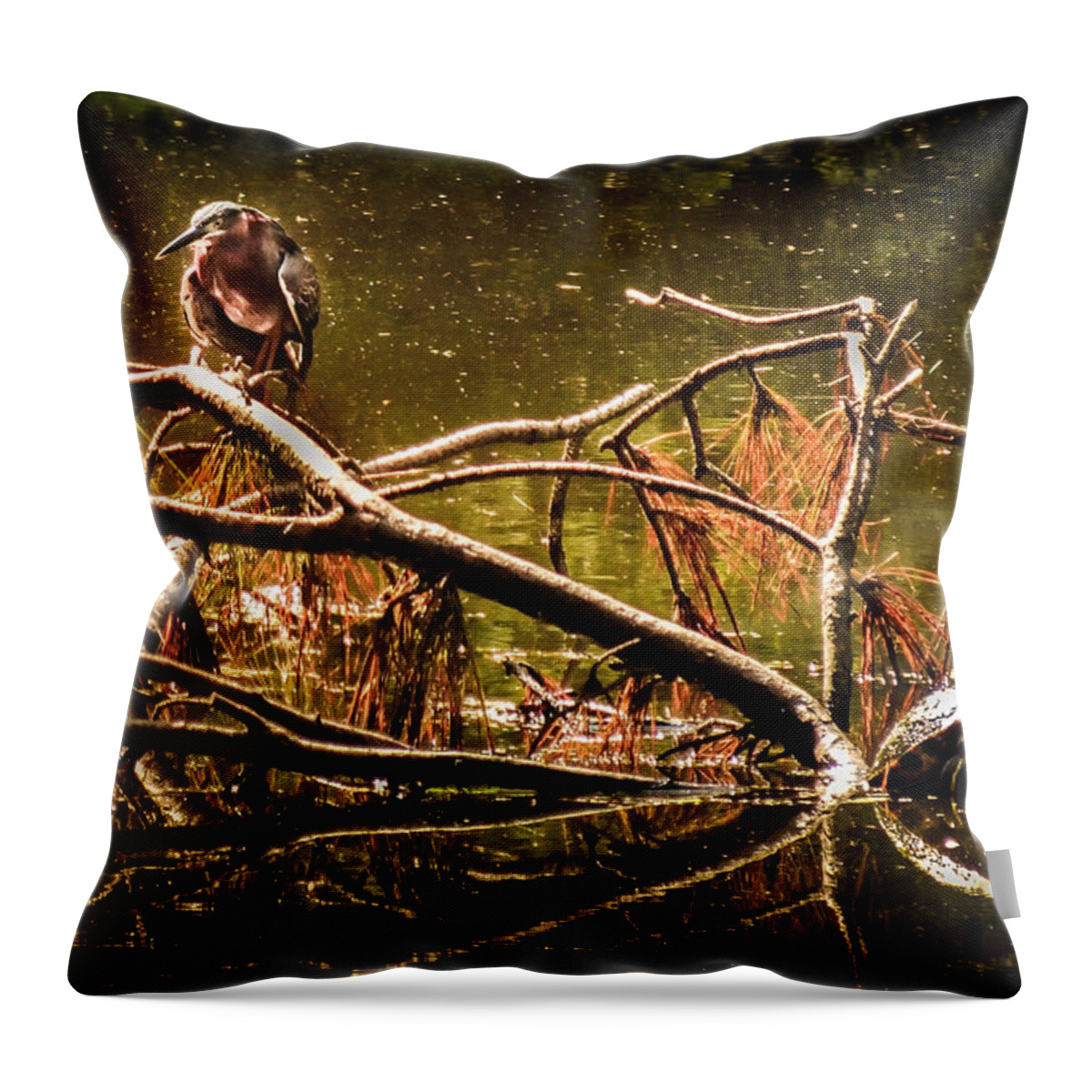 Wildlife Companions Throw Pillow featuring the photograph WATERS of AUTUMN by Karen Wiles