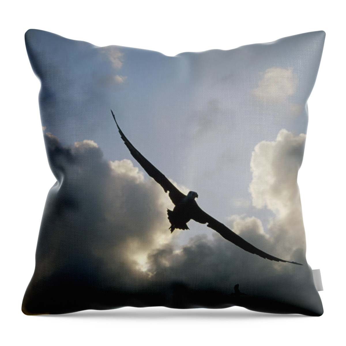 Feb0514 Throw Pillow featuring the photograph Waved Albatross Flying Over Nesting by Tui De Roy