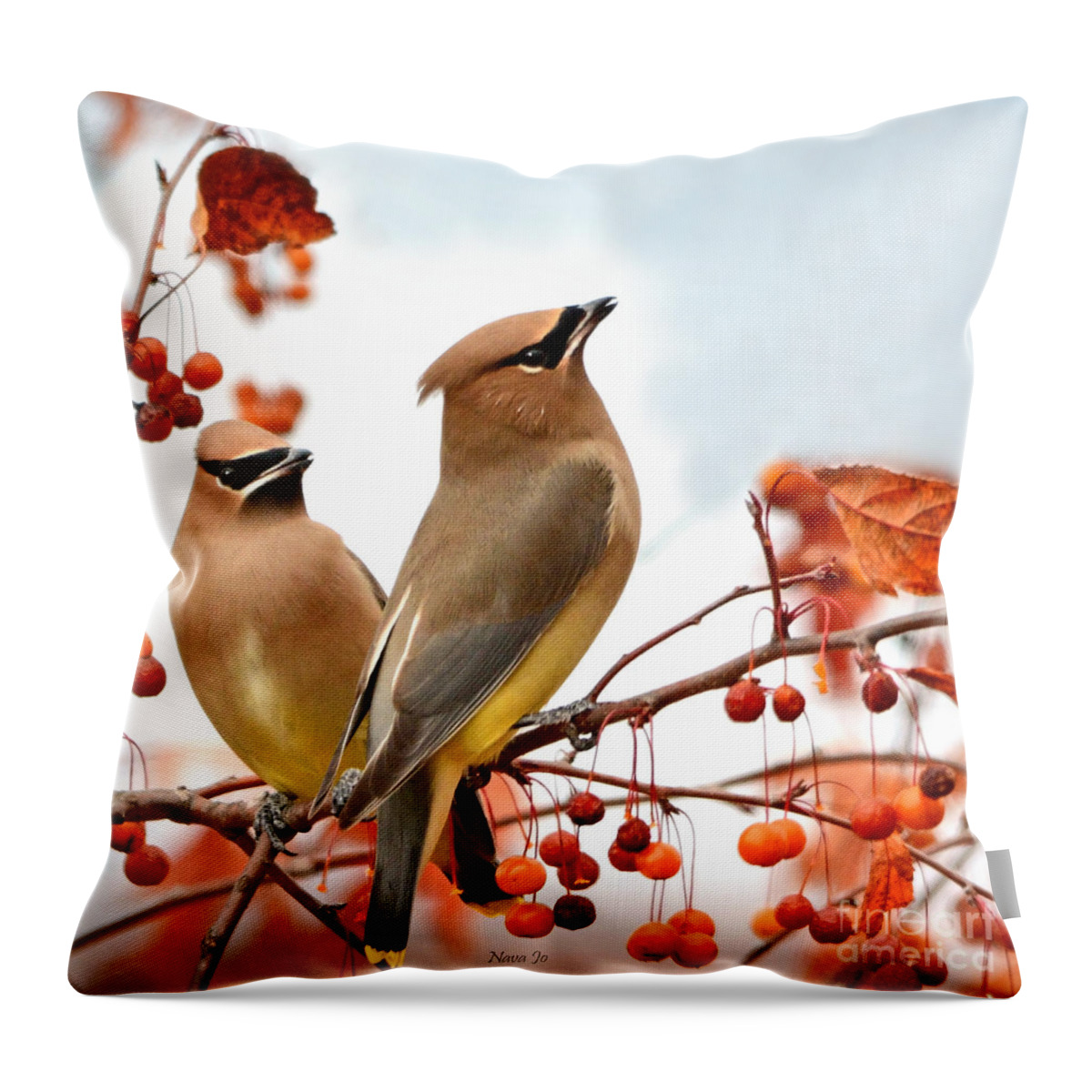 Nature Throw Pillow featuring the photograph Beautiful Waxwing by Nava Thompson
