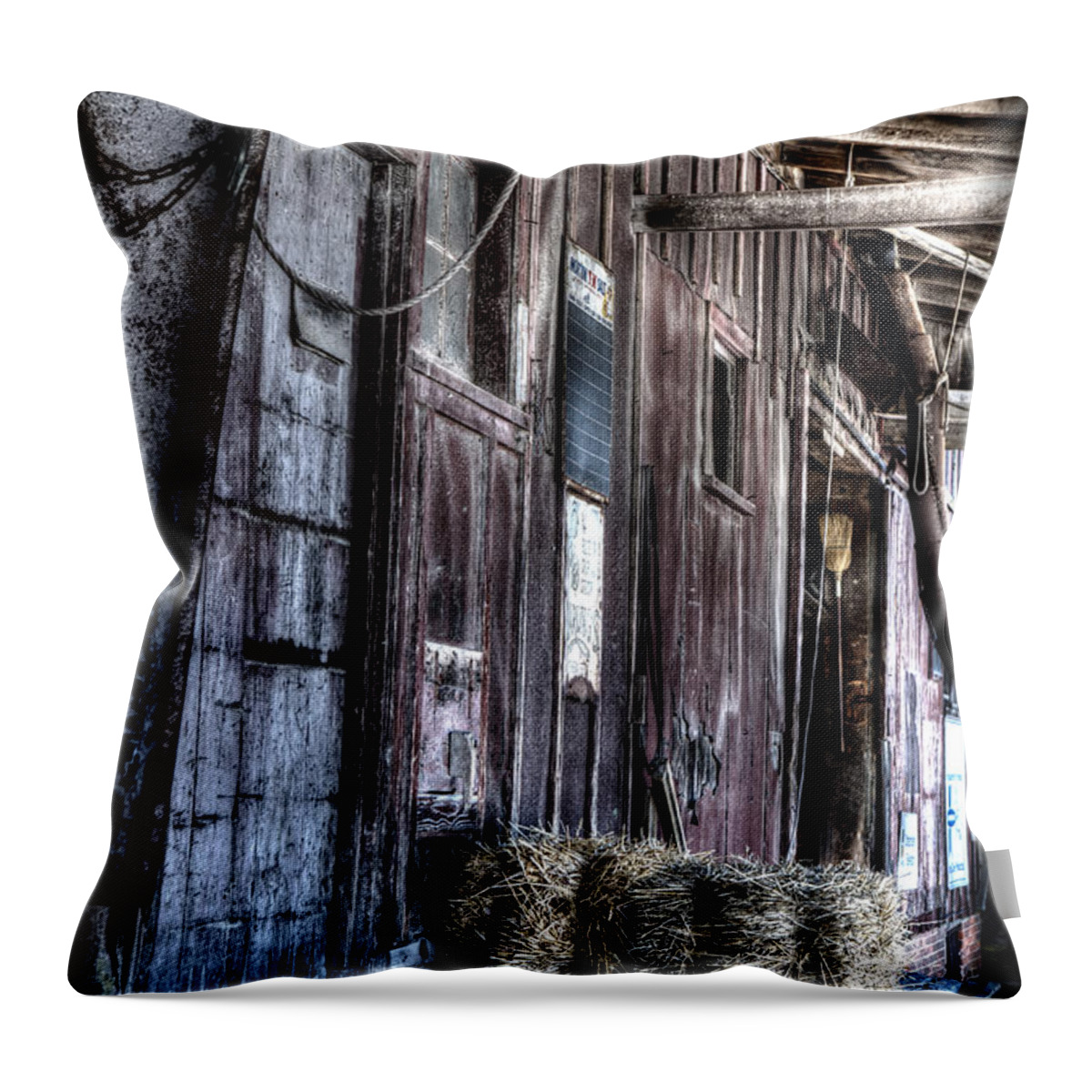 Grant Throw Pillow featuring the photograph Wayne Feed by Evie Carrier