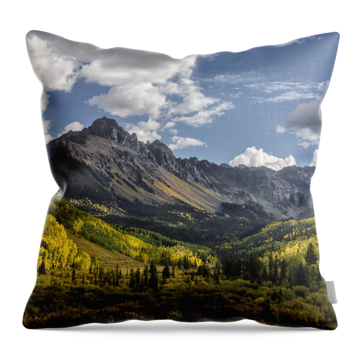 Art Throw Pillow featuring the photograph We Go Walking by Jon Glaser