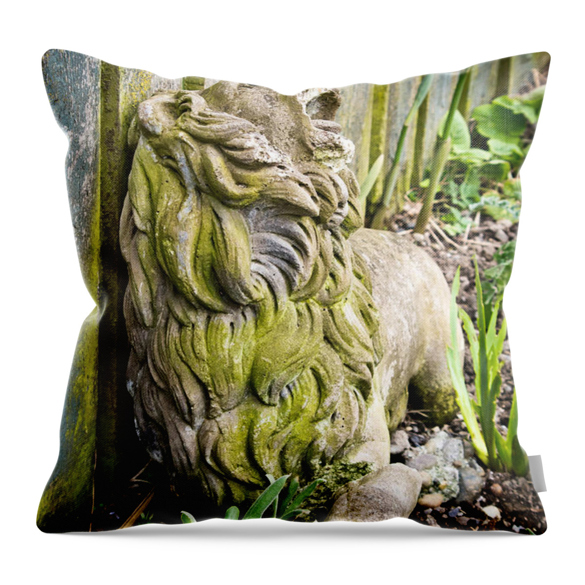 Lion Throw Pillow featuring the photograph Weathered Lion by Priya Ghose
