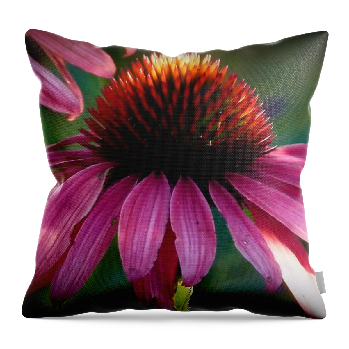Nature Throw Pillow featuring the photograph Weathered Wilted And Worn by Julia Hassett
