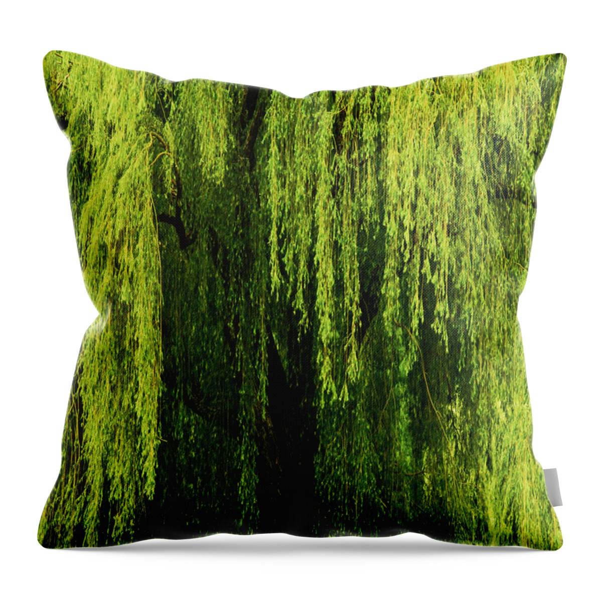 Weeping Willow Throw Pillow featuring the photograph Weeping Willow Tree Enchantment by Carol F Austin