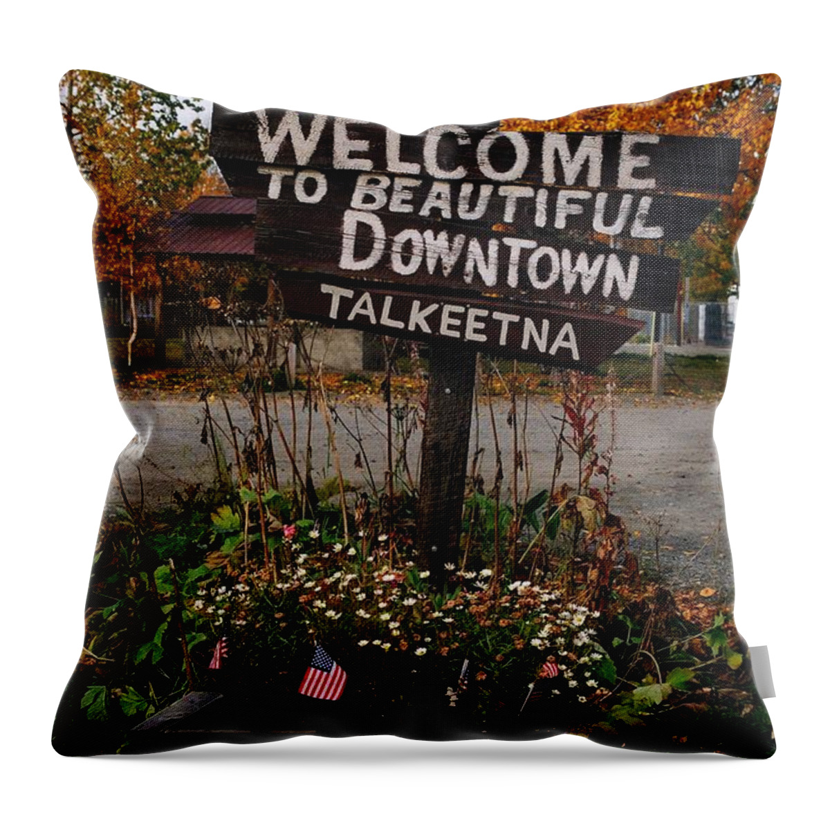 North America Throw Pillow featuring the photograph Welcome ... by Juergen Weiss