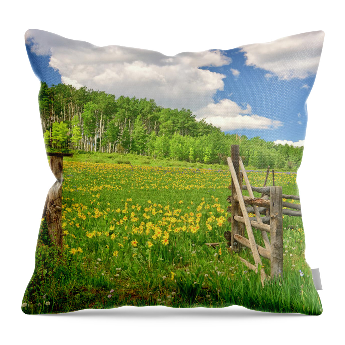 Tranquility Throw Pillow featuring the photograph Welcome To Heaven On Earth by Amy Hudechek
