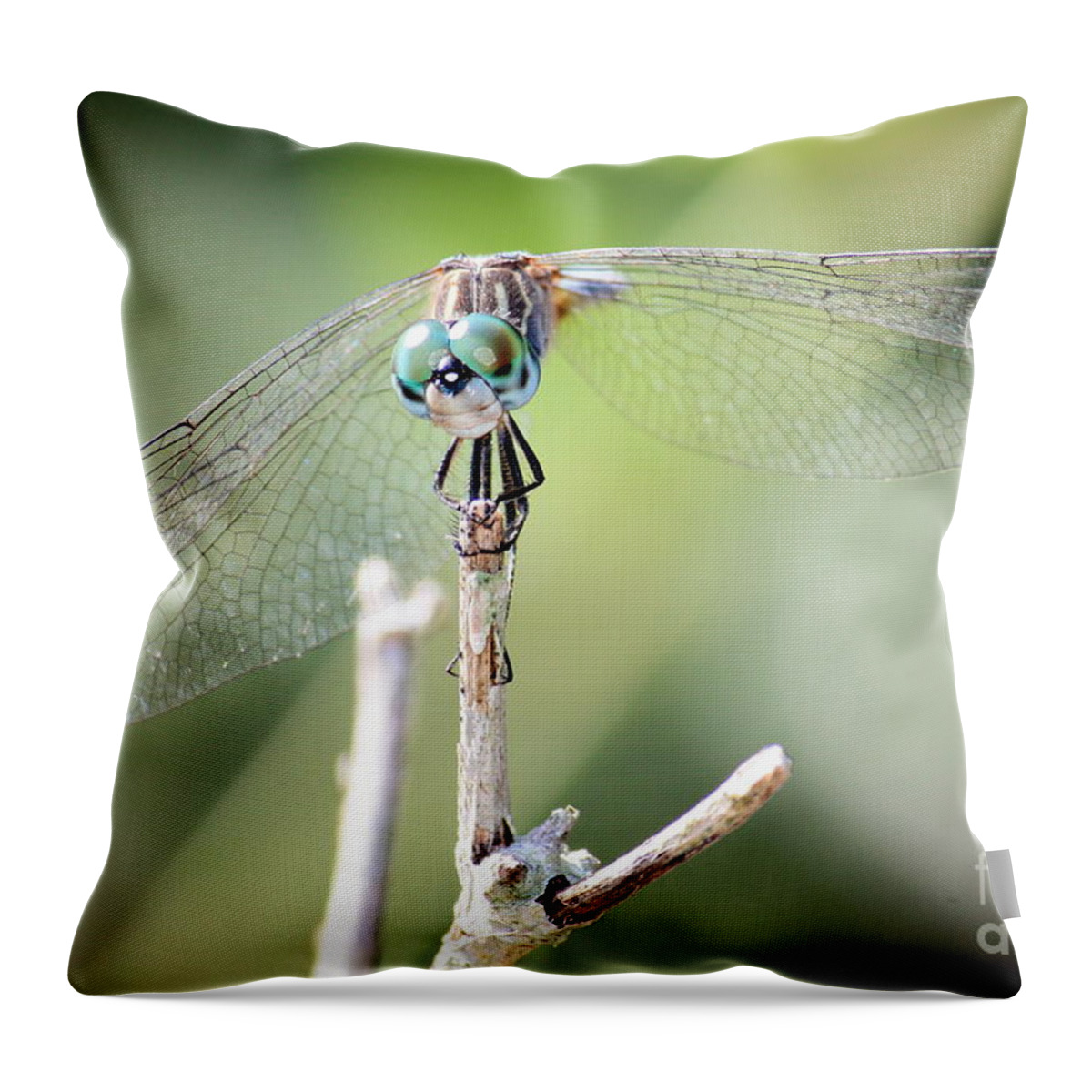Macro Throw Pillow featuring the photograph Welcome to My World Dragonfly by Carol Groenen