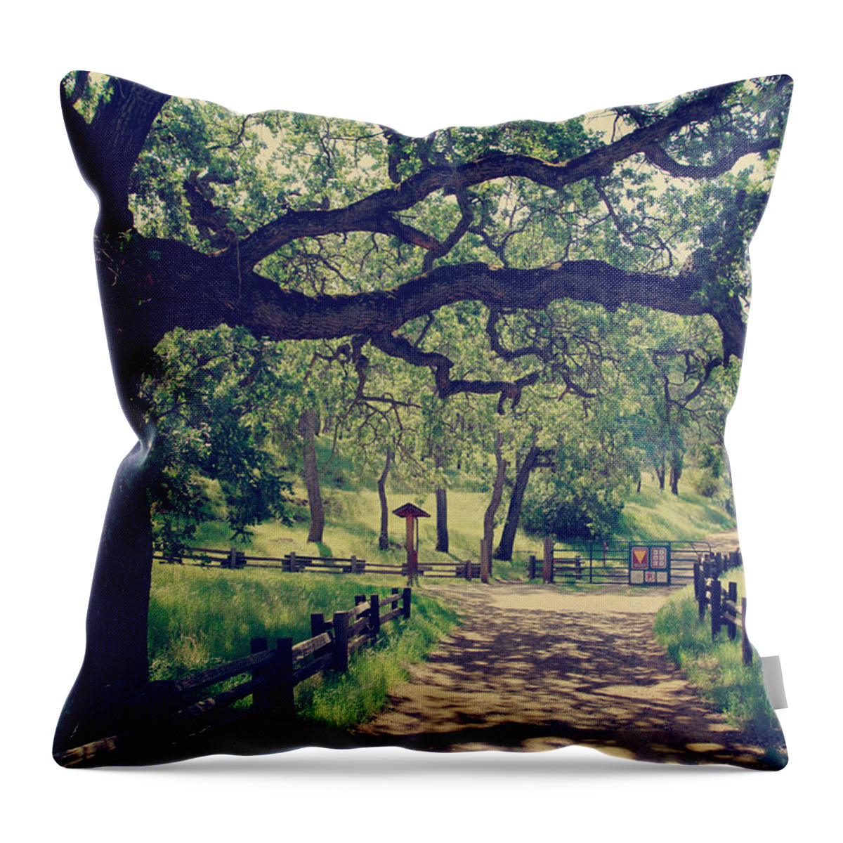 Mt. Diablo State Park Throw Pillow featuring the photograph Welcoming by Laurie Search