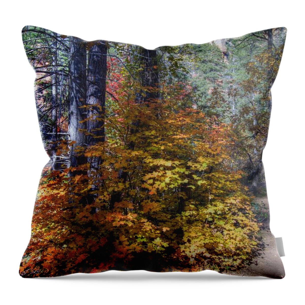 West Fork Throw Pillow featuring the photograph West Fork Fall Color #2 by Tam Ryan