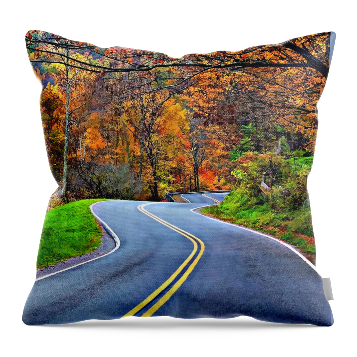 West Virginia Throw Pillow featuring the photograph West Virginia Curves 2 by Steve Harrington
