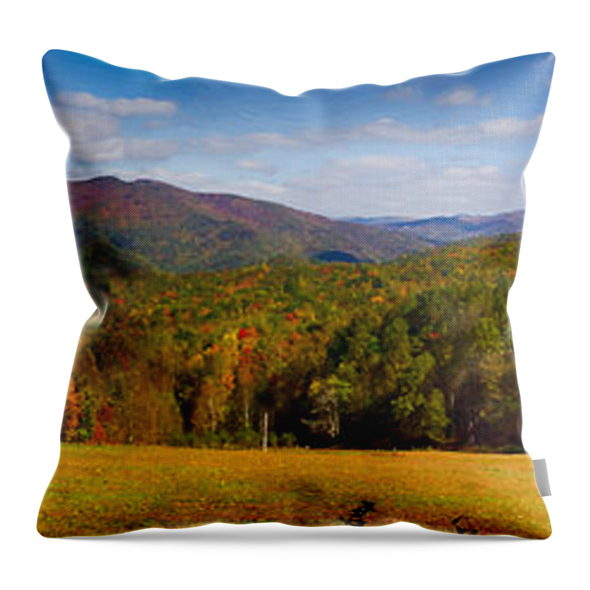 Great Smoky Mountains National Park Throw Pillow featuring the painting Western North Carolina Horses and Mountains Panorama by John Haldane