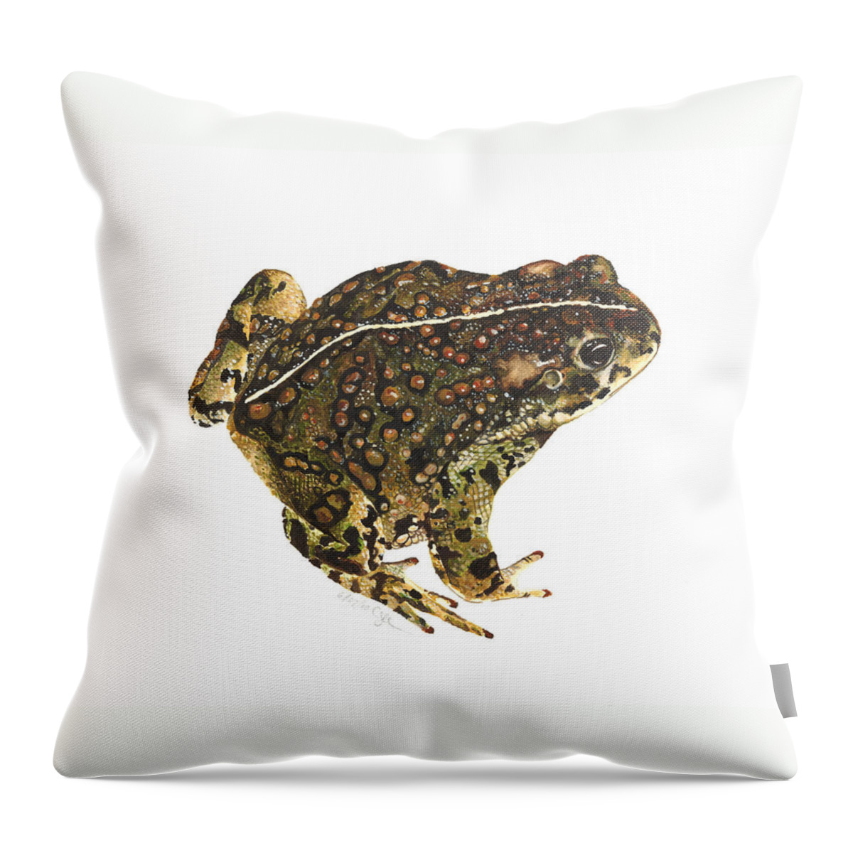 Anaxyrus Boreas Throw Pillow featuring the painting Western toad by Cindy Hitchcock