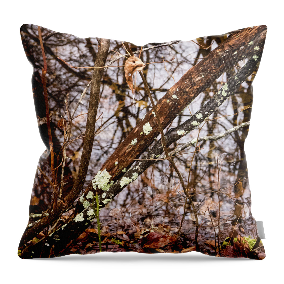 Brances Throw Pillow featuring the photograph Wet Wintery Woods by Frank Winters