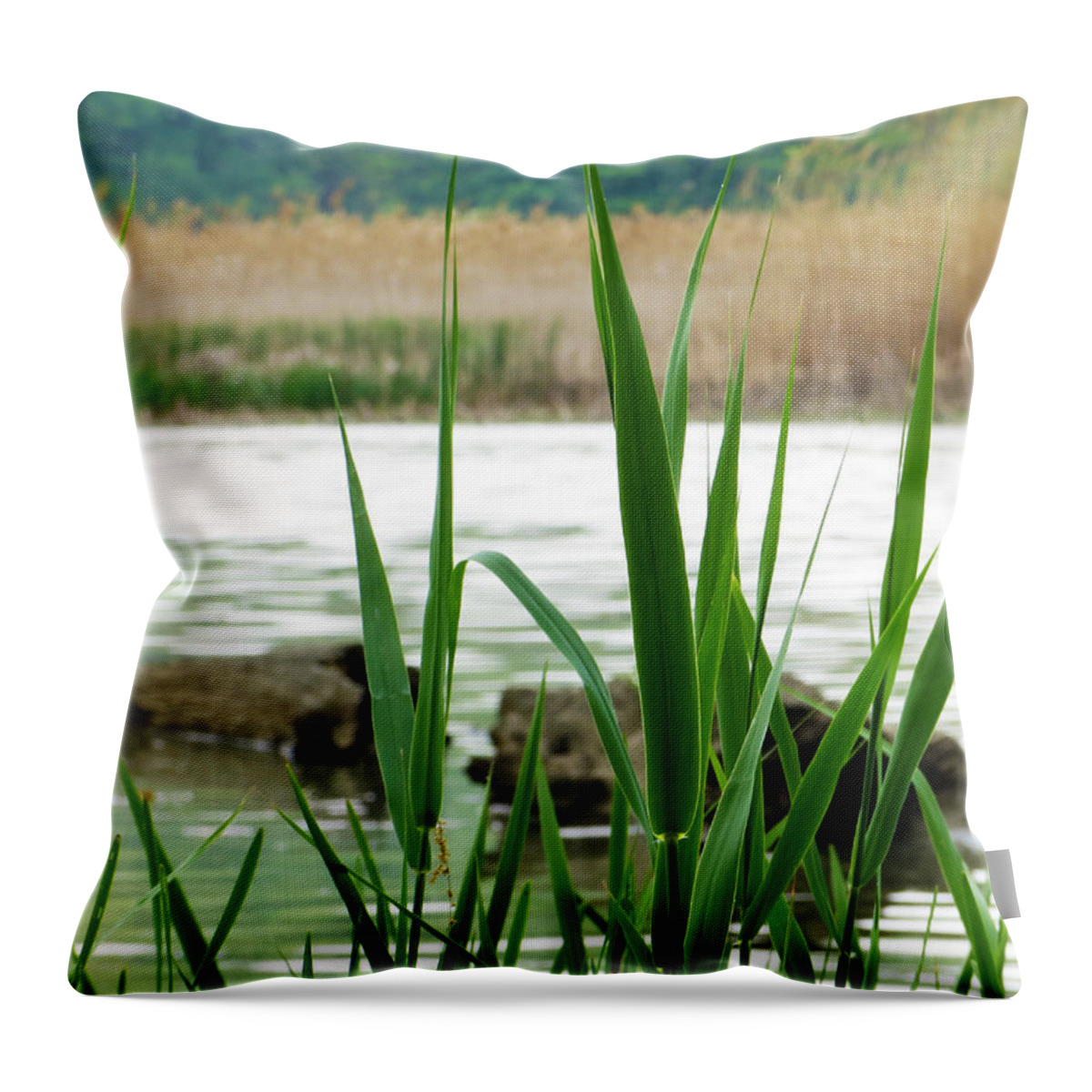 Wetland Throw Pillow featuring the photograph Wetland Grass 2 by Shawna Rowe
