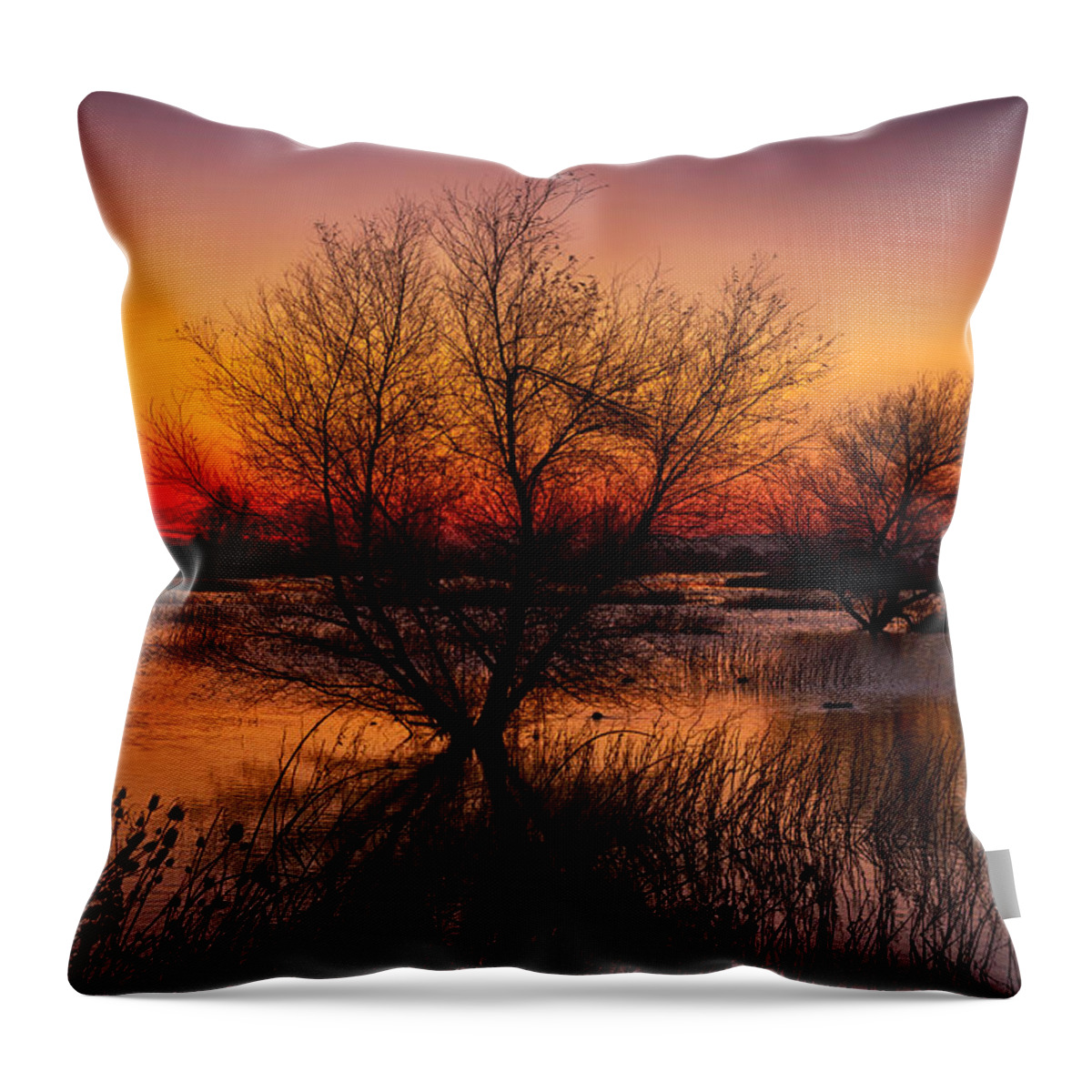 Dawn Throw Pillow featuring the photograph Wetlands Dawn by Kathleen Bishop