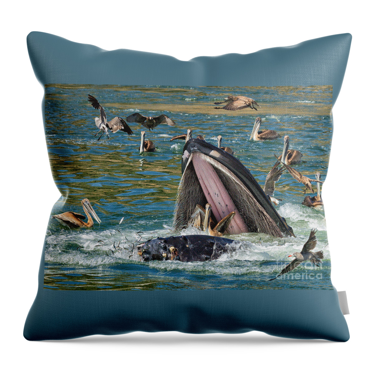 Animal Throw Pillow featuring the photograph WHALE almost eating a PELICAN by Alice Cahill