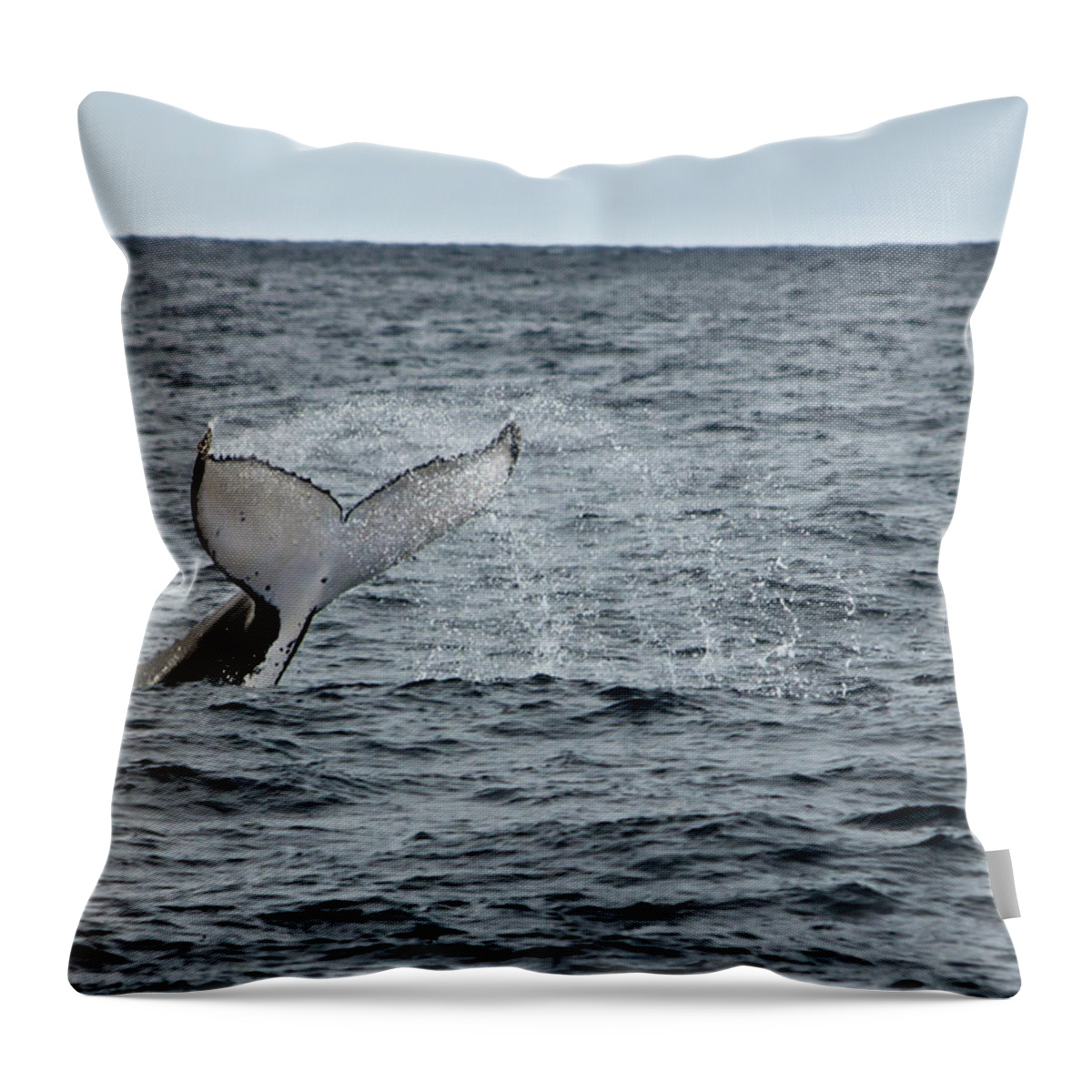 Whale Throw Pillow featuring the photograph Whale of a time by Miroslava Jurcik