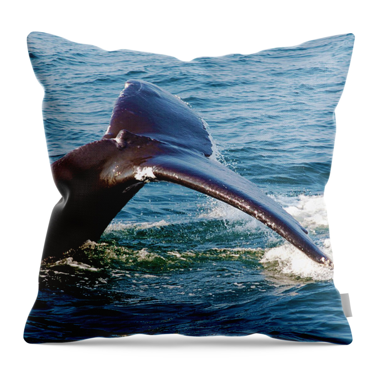 Whale Throw Pillow featuring the photograph Whale Tail by Ron Haist