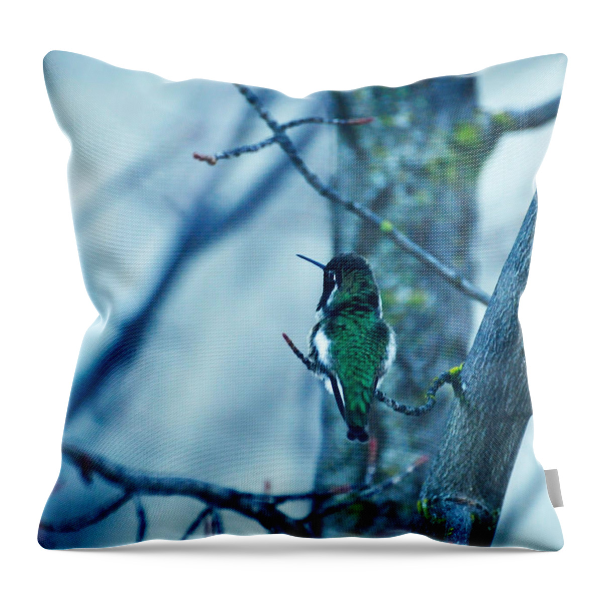 Nature Throw Pillow featuring the photograph What A Blessing 2 by Teri Schuster