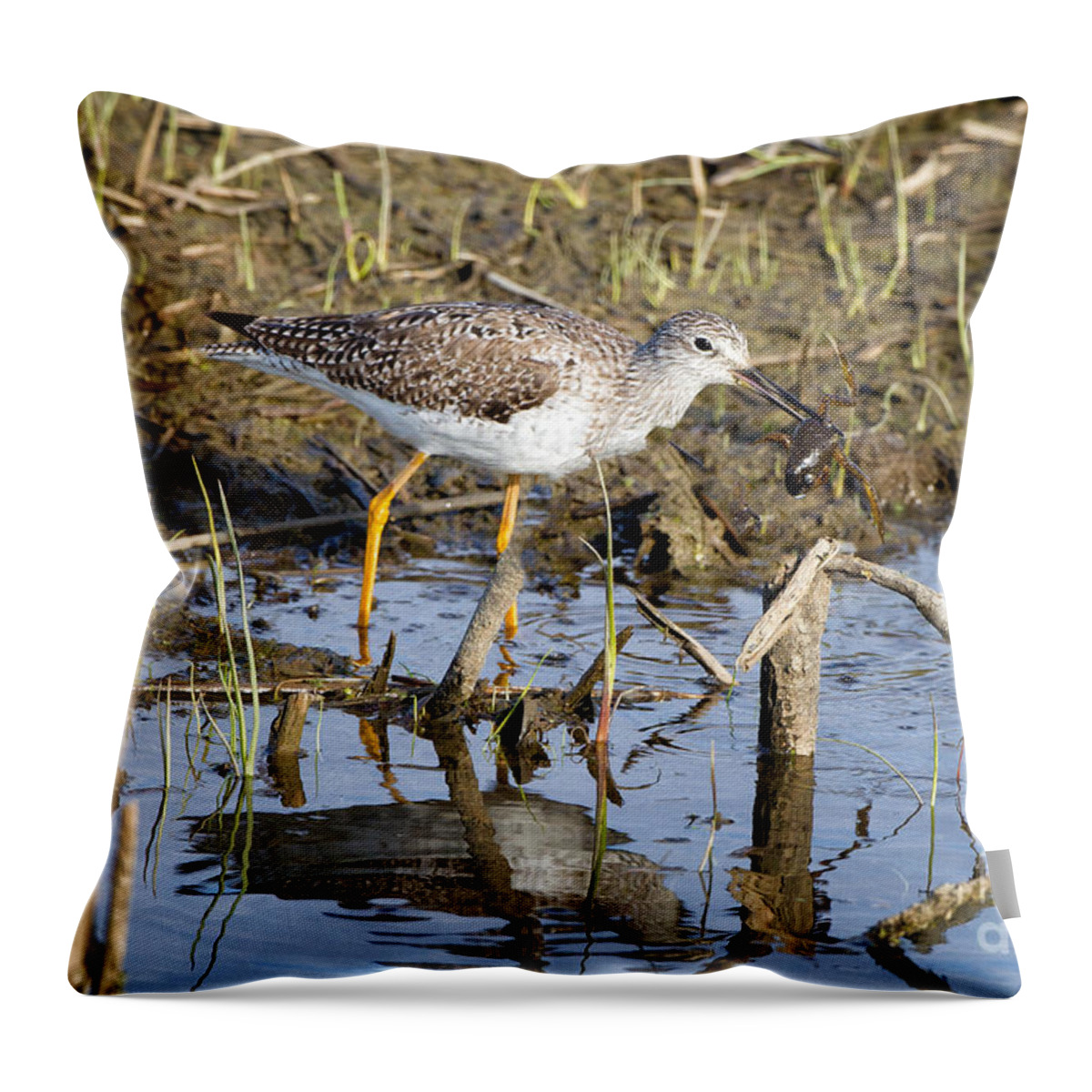 Lesser Throw Pillow featuring the photograph What a Meal by Ronald Lutz