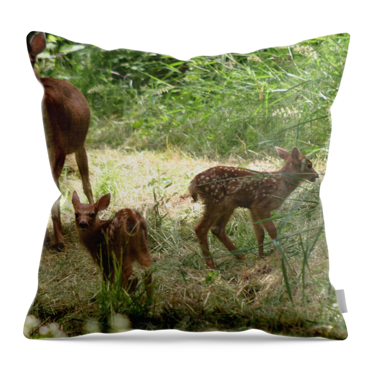 Animals Throw Pillow featuring the photograph What are you doing here by Kym Backland