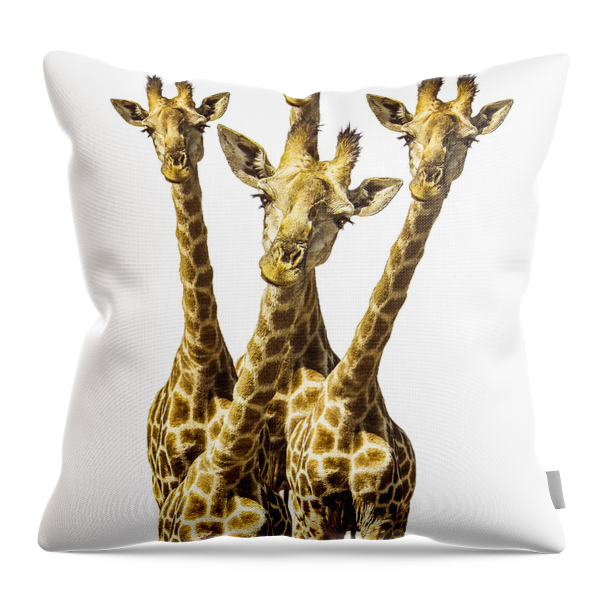Giraffe Throw Pillow featuring the photograph What are YOU looking at? by Diane Diederich