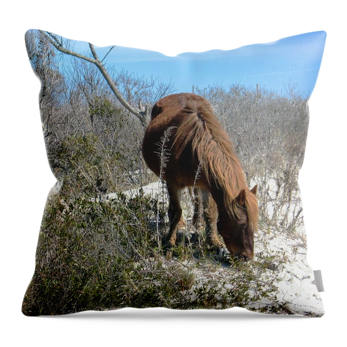Horse Throw Pillow featuring the photograph What do I see here? by Photographic Arts And Design Studio