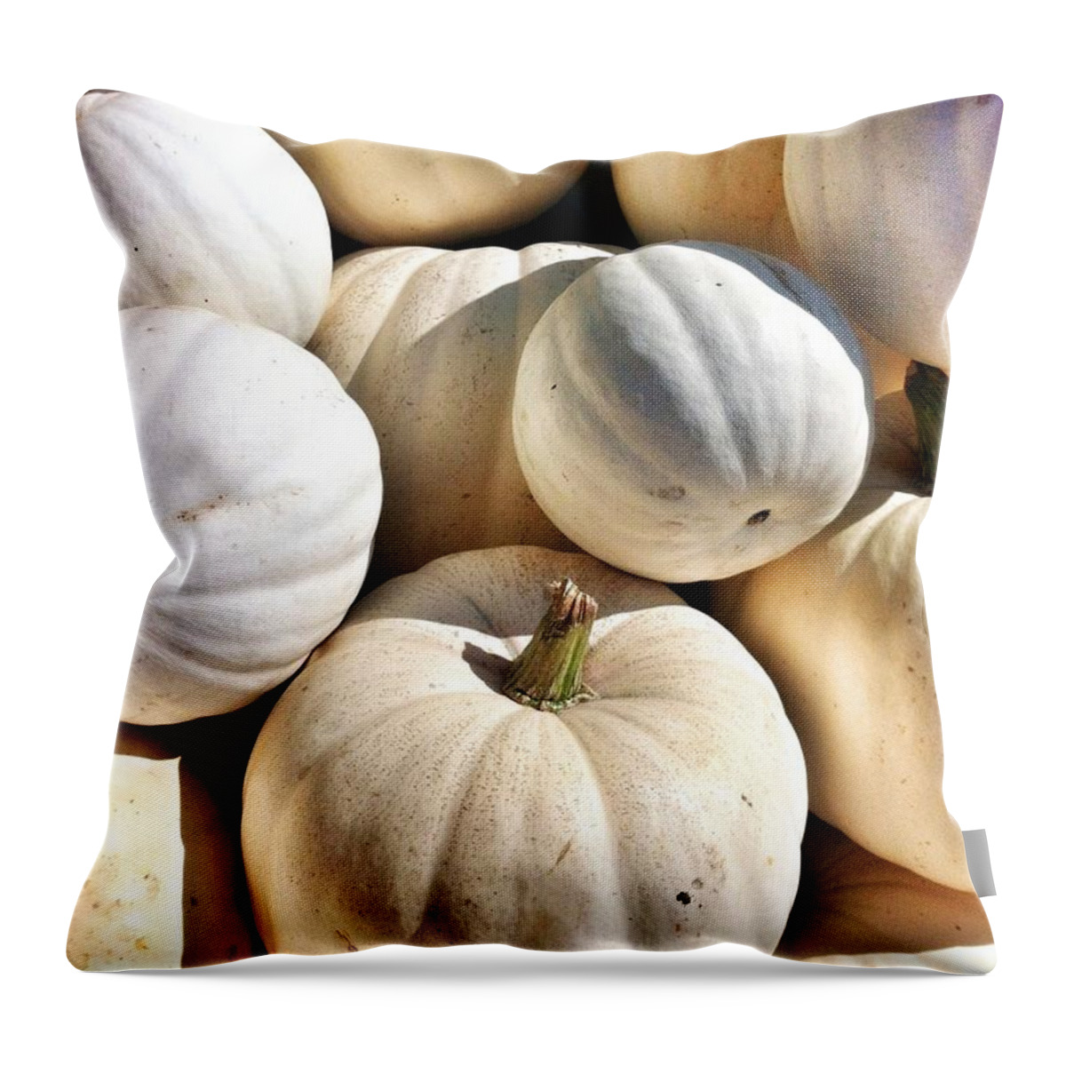 White Pumpkins Throw Pillow featuring the photograph What Ghost Pumpkins by Susan Garren