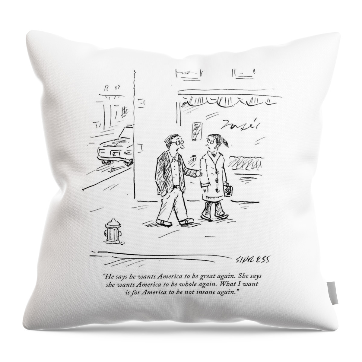What I Want Is For America To Be Not Insane Throw Pillow