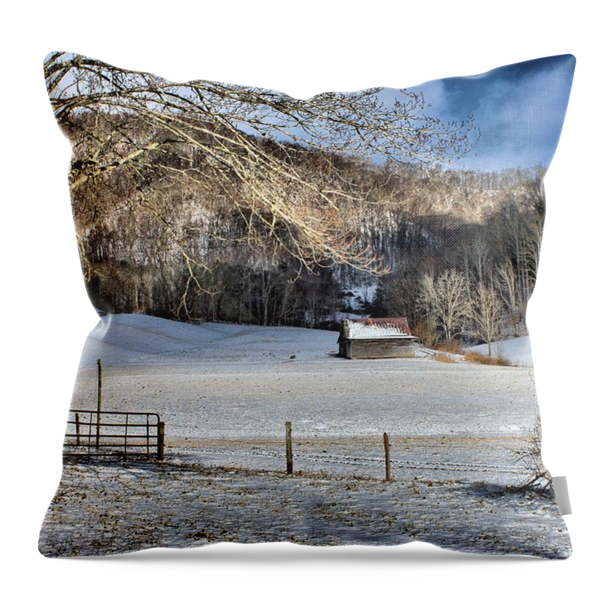 Carol R Montoya Throw Pillow featuring the photograph What More Could You Ask For by Carol Montoya