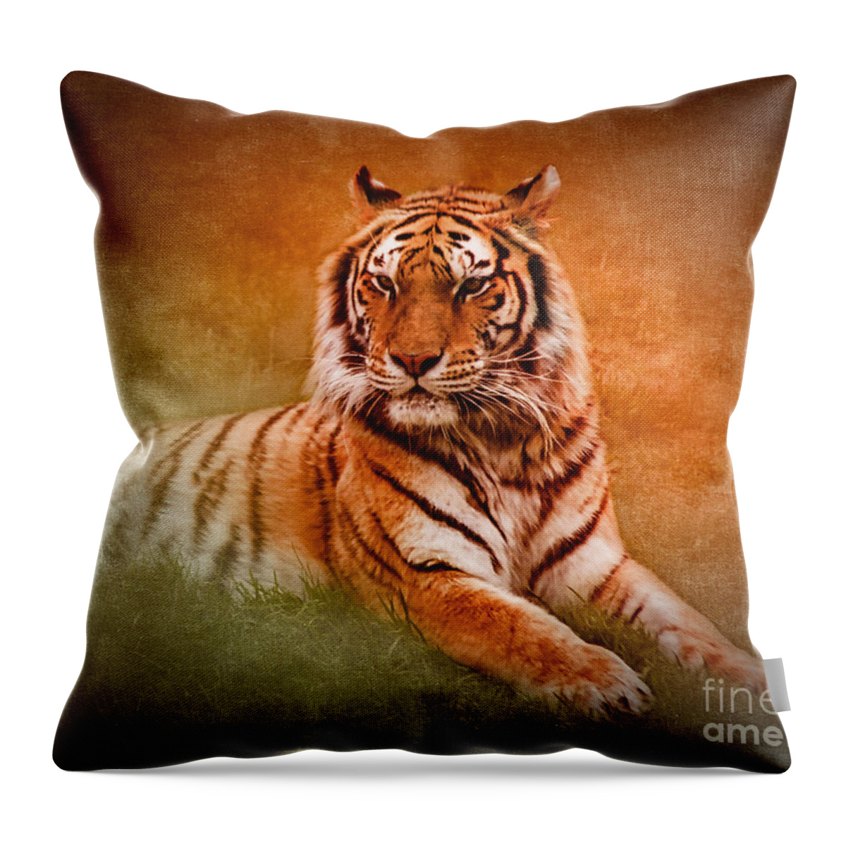 Bengal Tiger Throw Pillow featuring the photograph What's New Pussycat? by Betty LaRue