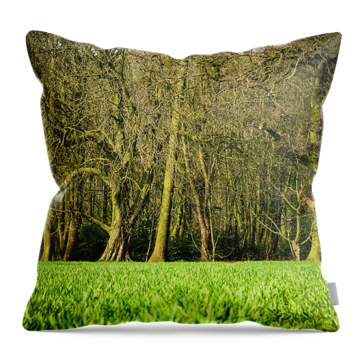 Tranquility Throw Pillow featuring the photograph Wheat Field by Nuzulu