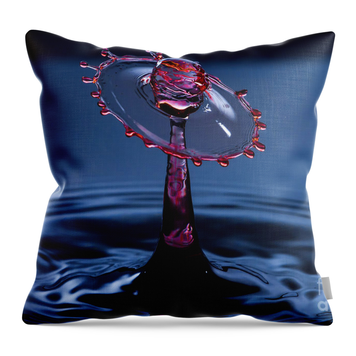 Water Throw Pillow featuring the photograph Wheel of Confusion by Anthony Sacco