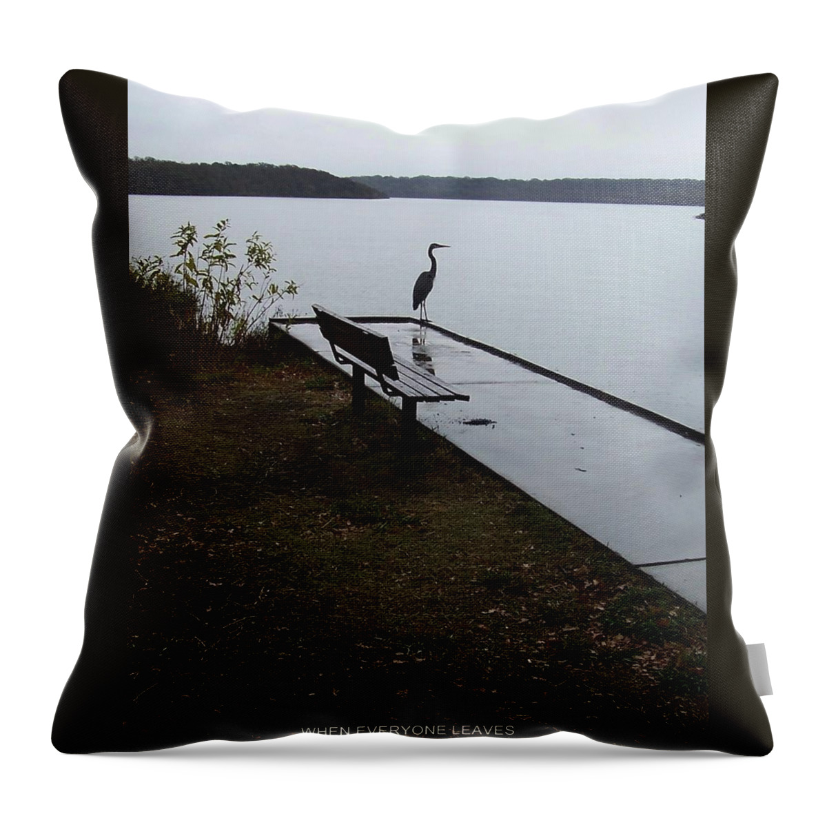 Wild Throw Pillow featuring the painting When Everyone leaves by Thomas F Kennedy
